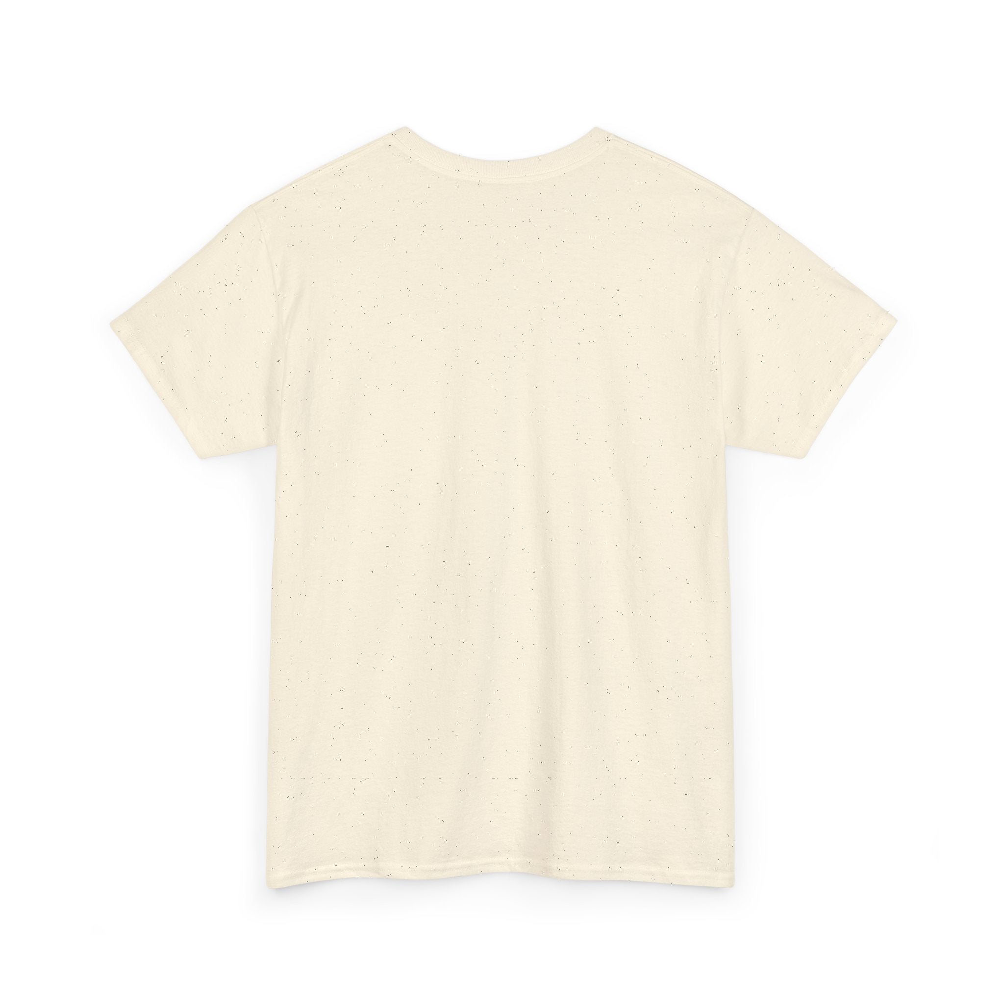 Pisces Zodiac T-Shirt — Colorful Fish Astrology Tee