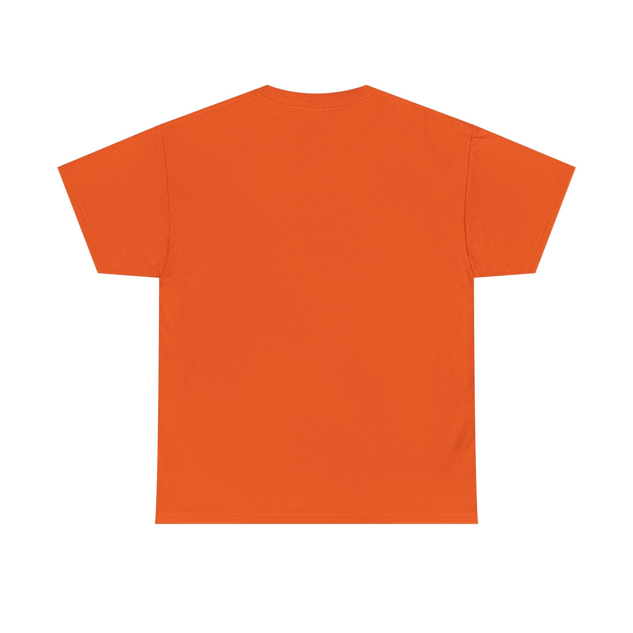 Pisces Zodiac T-Shirt — Colorful Fish Astrology Tee